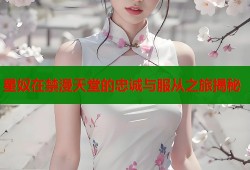星奴在禁漫天堂的忠诚与服从之旅揭秘