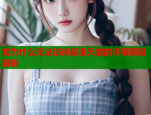 我为什么无法访问禁漫天堂的详细原因解析