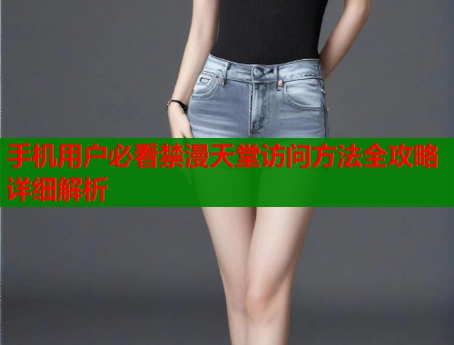 手机用户必看禁漫天堂访问方法全攻略详细解析