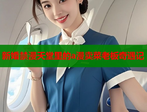 新婚禁漫天堂里的a漫卖菜老板奇遇记