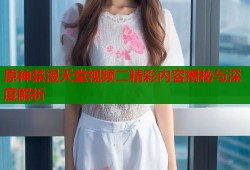 原神禁漫天堂视频二精彩内容揭秘与深度解析