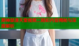 原神禁漫天堂视频二精彩内容揭秘与深度解析