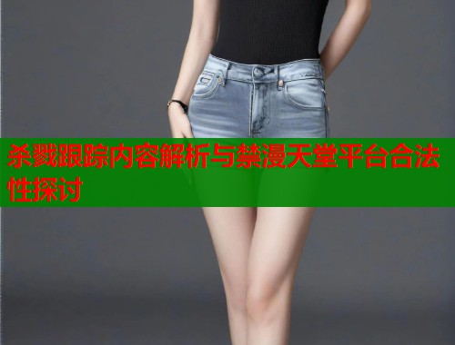 杀戮跟踪内容解析与禁漫天堂平台合法性探讨